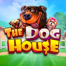 Download app 67game Android iOS